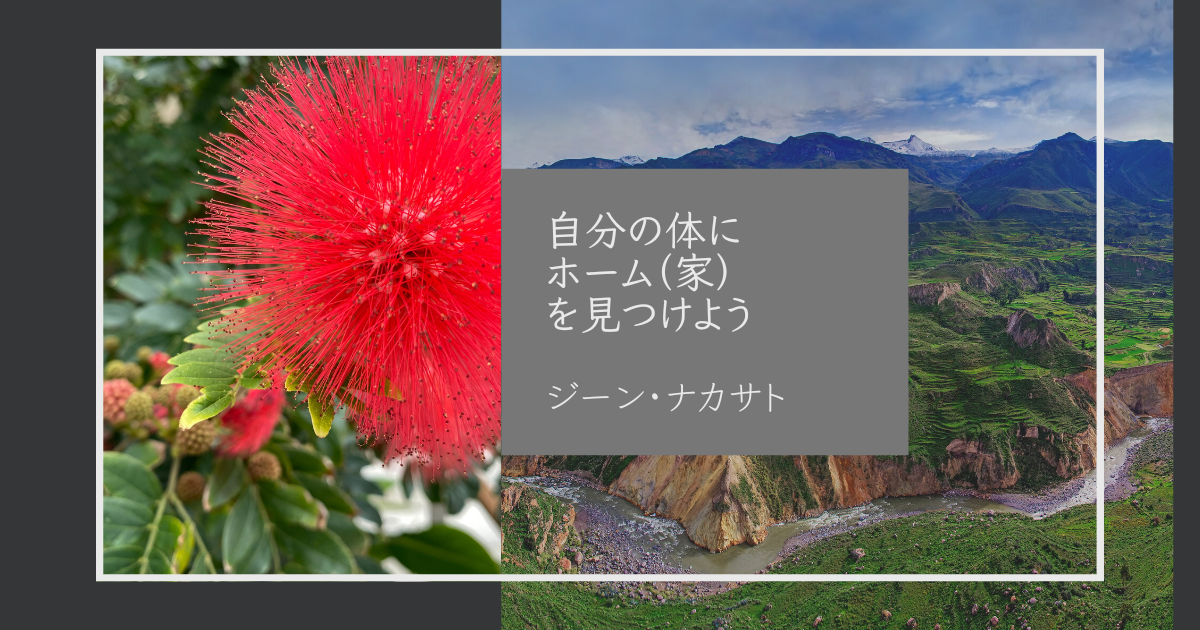 自分の体にホーム（家）を見つけよう