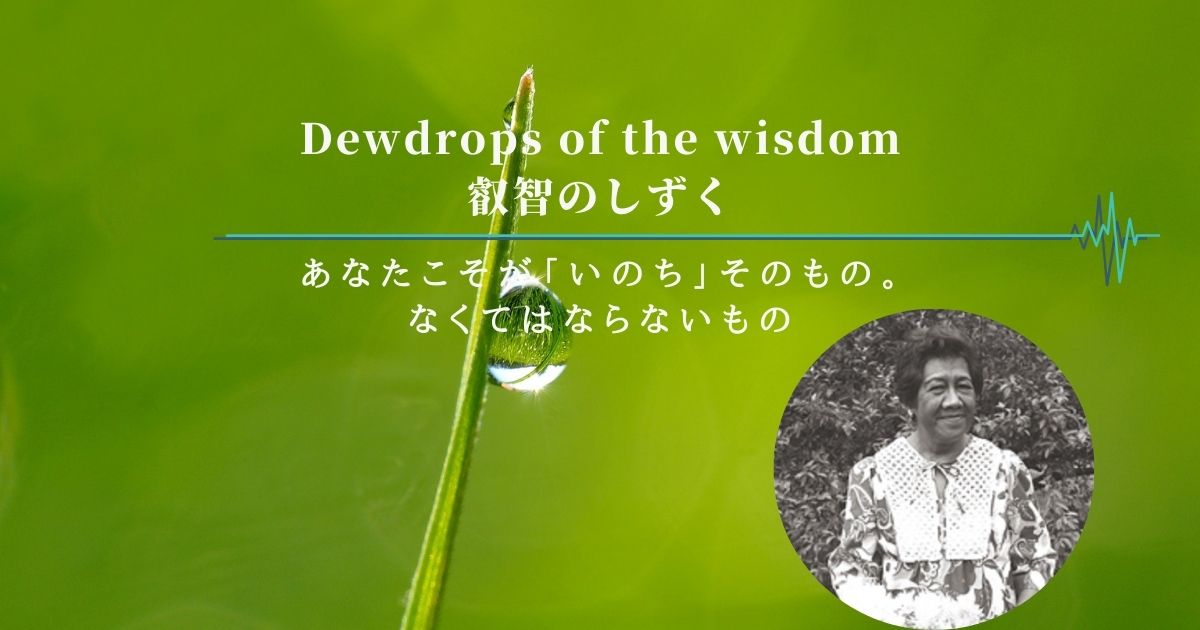 『叡智のしずく』 – Dewdrops of the Wisdom
