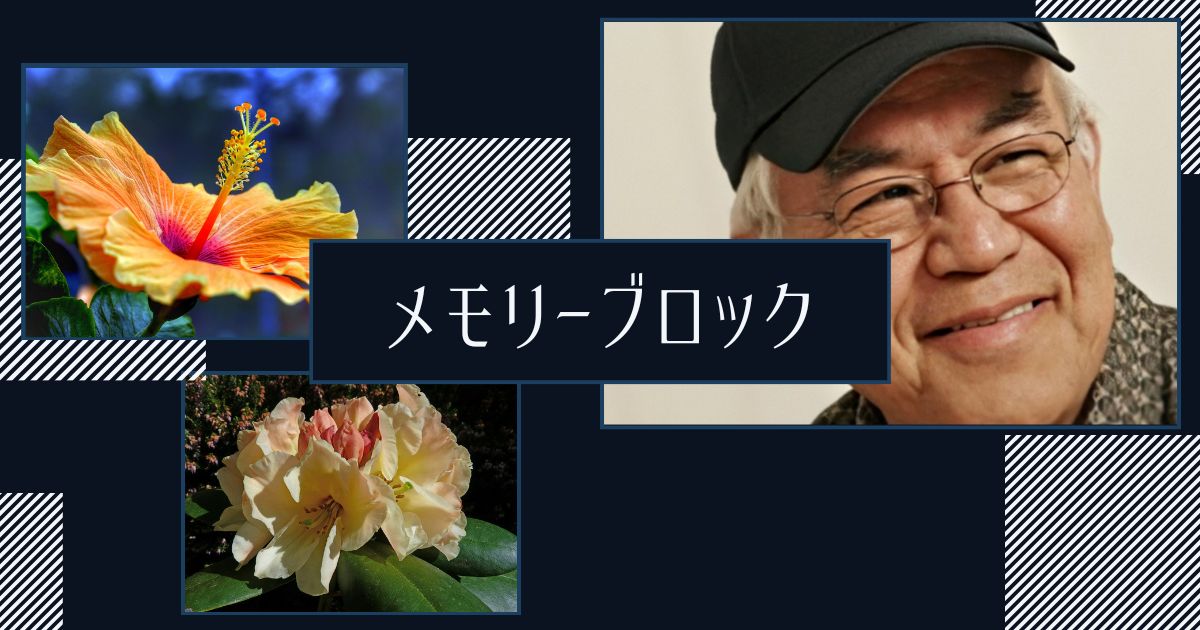 メモリーブロック
