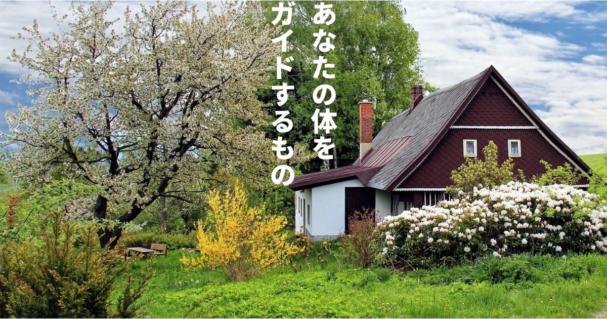 あなたの体をガイドするもの