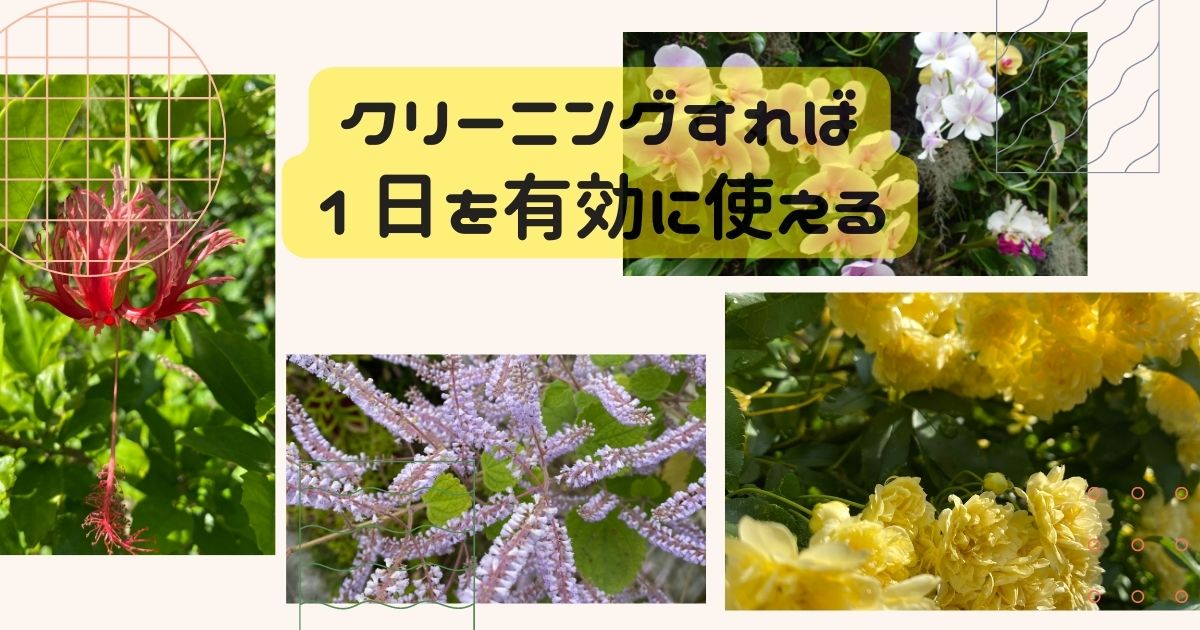 クリーニングすれば１日を有効に使える