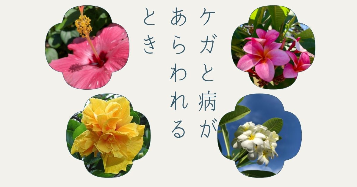 ケガと病があらわれるとき