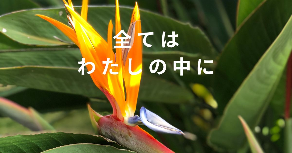 全てはわたしの中に