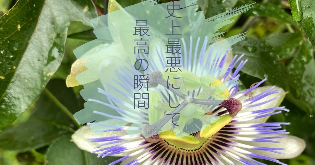 史上最悪にして最高の瞬間
