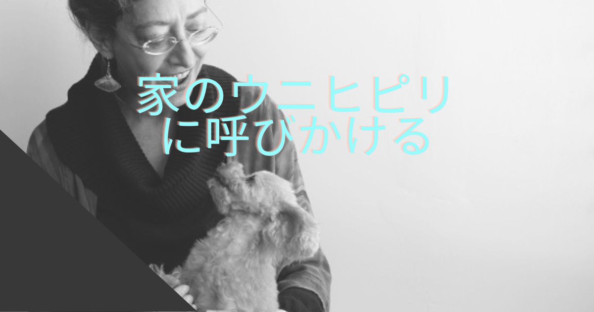 家にもウニヒピリがある
