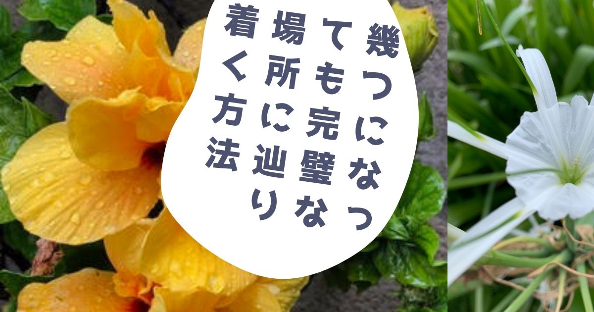 幾つになっても完璧な場所に辿り着く方法