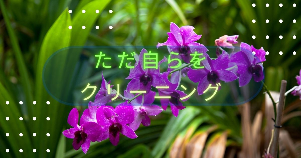 ただ自らをクリーニング