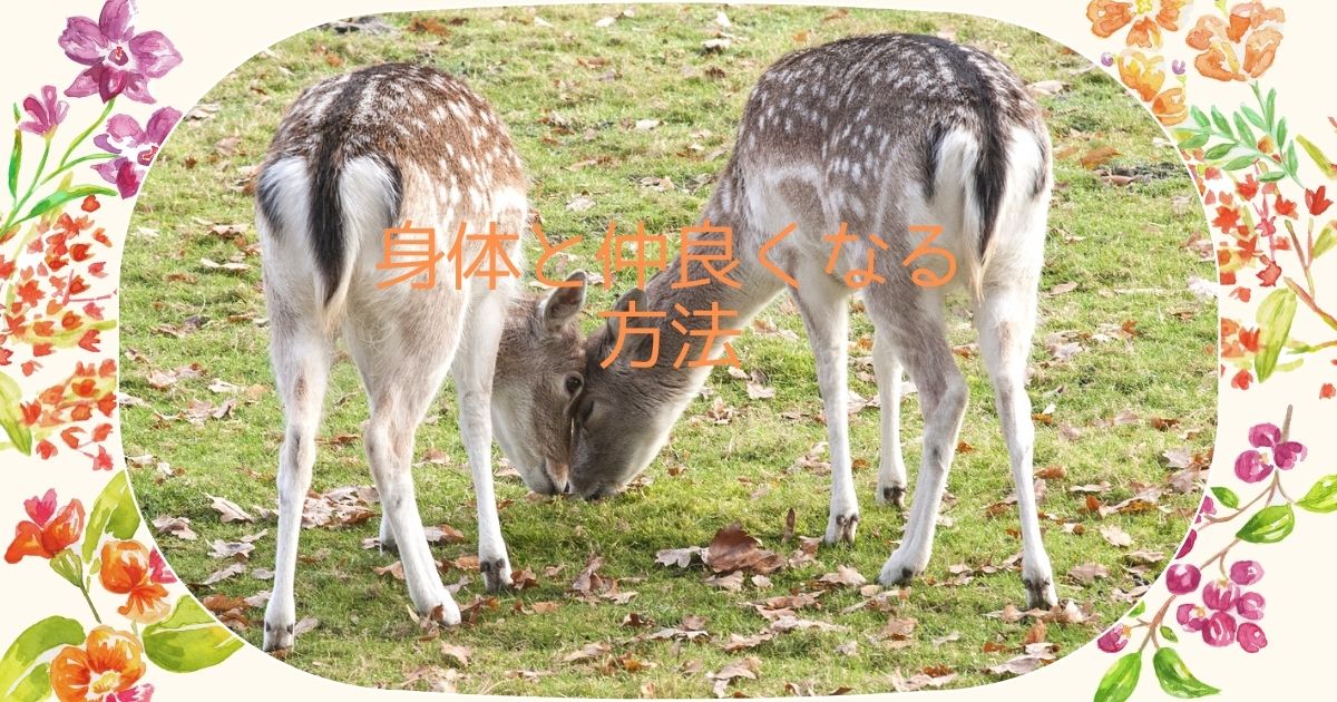 身体と仲良くなる方法
