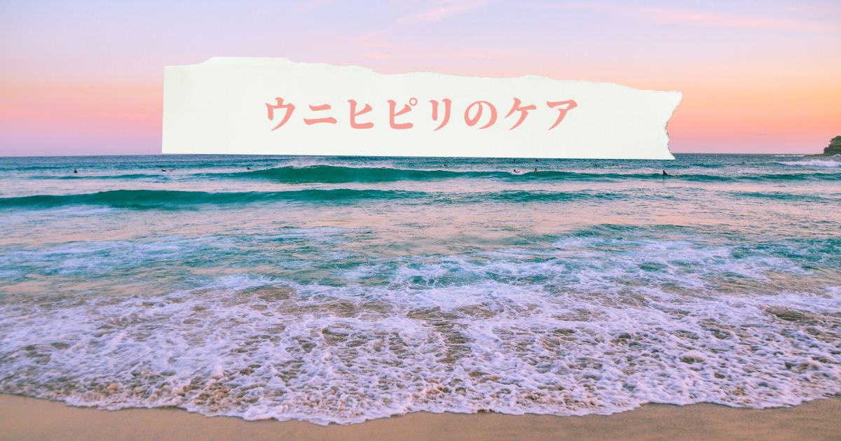 健康なバランスを取り戻すためのできること