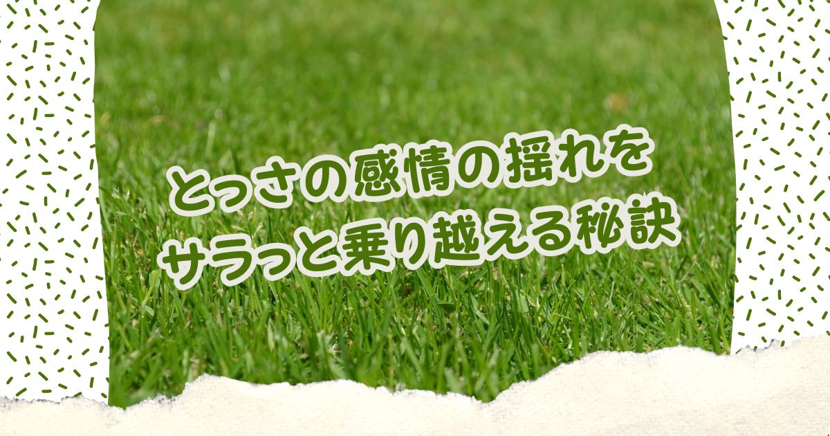 感情にお返事する方法