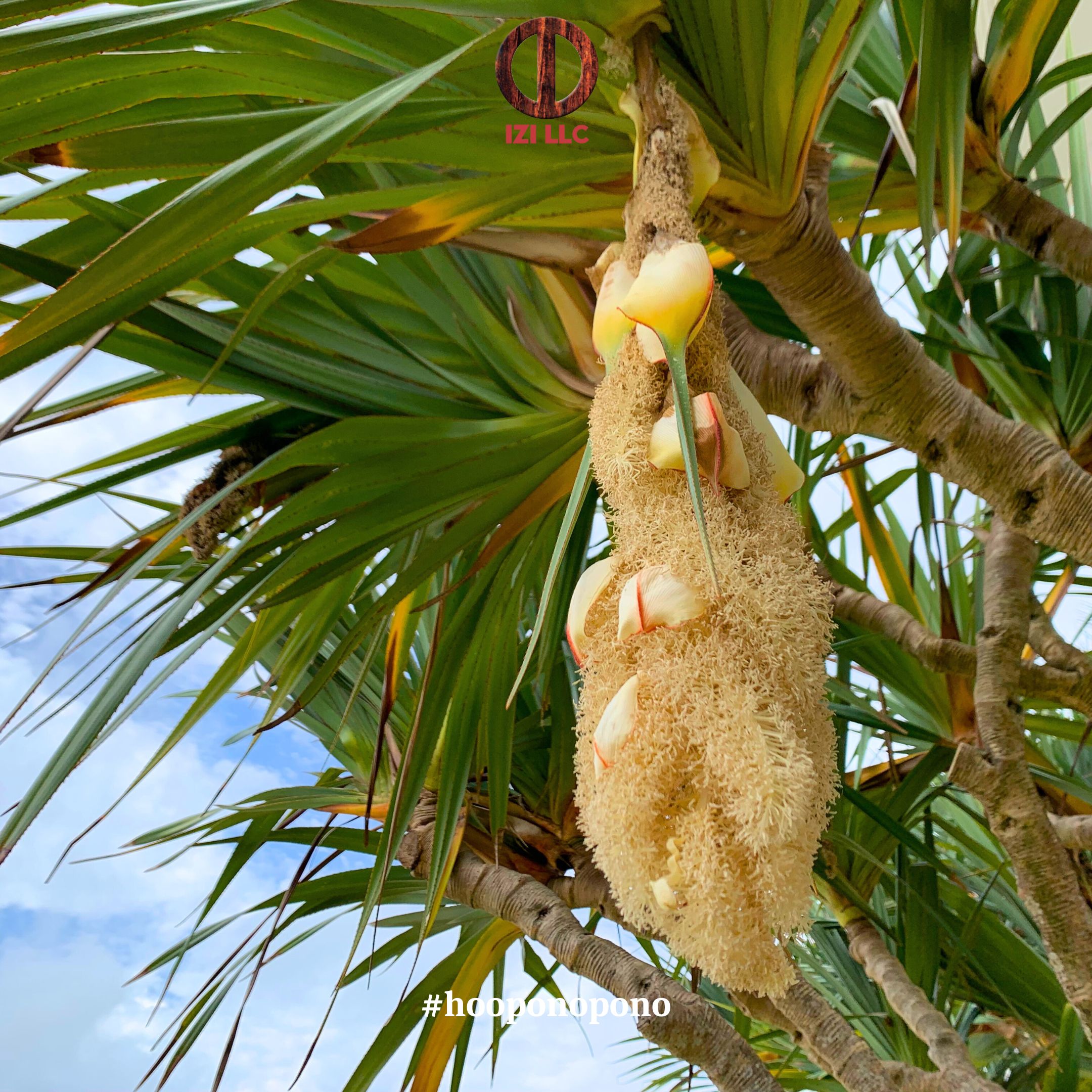 起きた出来事に対してあなたが持っている知識、決めつけ、思いをクリーニングすることがあなたの第一の仕事、そして責任です。それは世界が本来のリズムを取り戻すための鍵です。