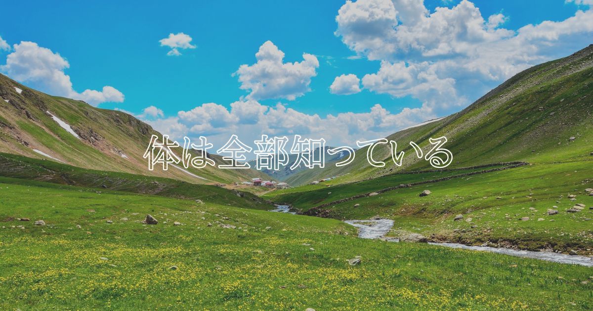 体は全部知っている