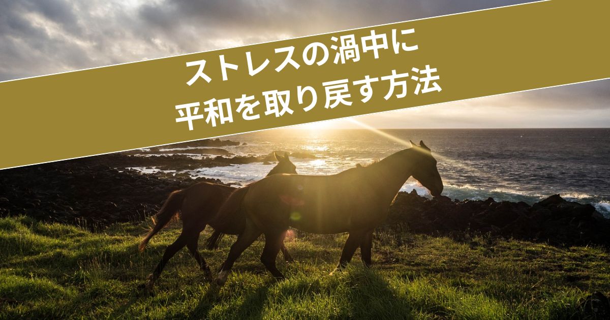 感情にフックされずに前に進む