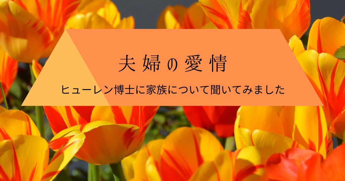 夫婦の愛情