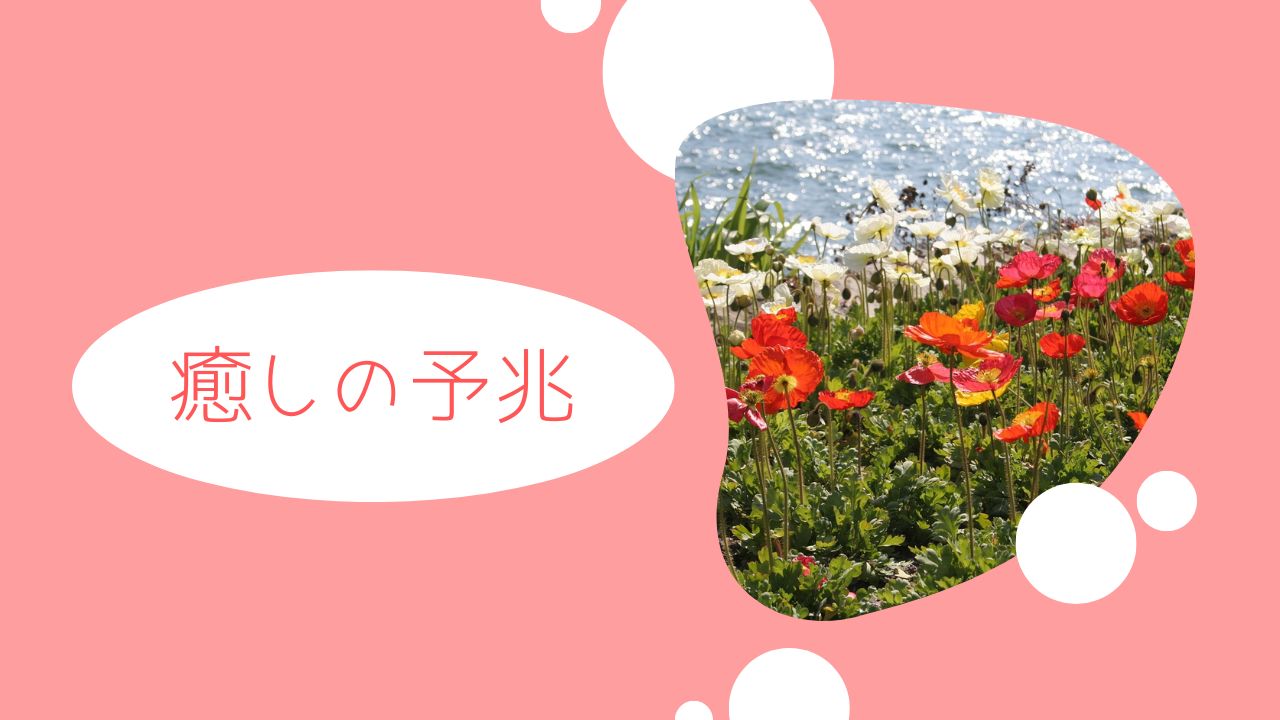 問題が山積みになるとき、ホ・オポノポノがもたらしてくれるもの