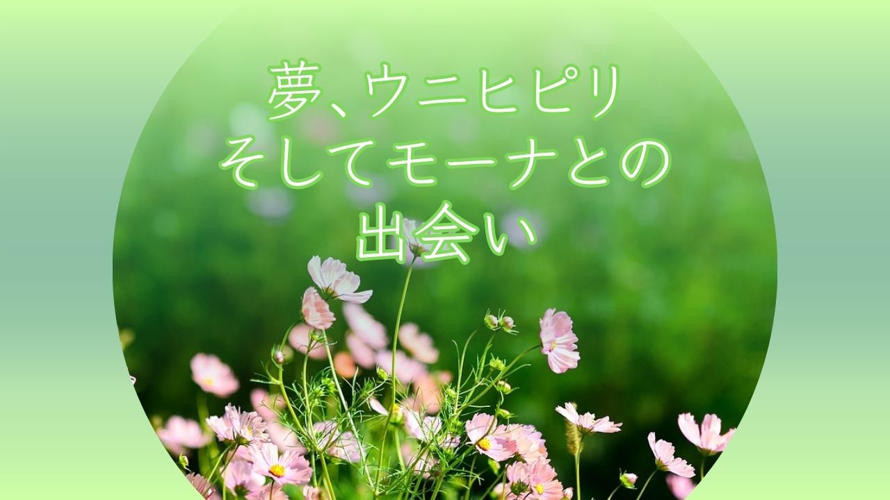講師ワイレアのホ・オポノポノ物語